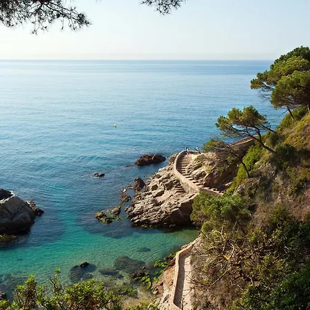 - Aloe 2-9 Lloret de Mar